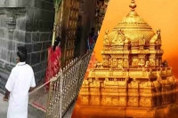 Tirumala ttd released additional august quota online today