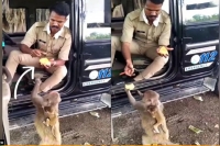 Watch up police constable s kindness wins hearts online salute say netizens