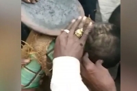 Head tonsured face blackened gujarat villagers punish woman for eloping with lover