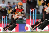 Warner breaks record then his own stumps