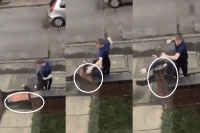Man punches thief hard enough which crashes into a brick pillar and breaks