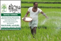 Tamil nadu keerai kadai gives advt asking wanted farmers