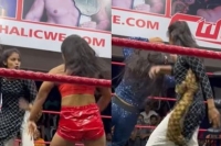 Viral video woman from audience jumps into wrestling ring knocks out 2 wrestlers