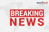 29 feared killed by bomb blast at yemen mosque