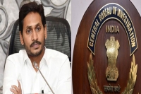 Ys jagan files counter in cbi court over bail cancellation petition