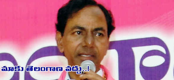 Trs party will supports rayala telangana
