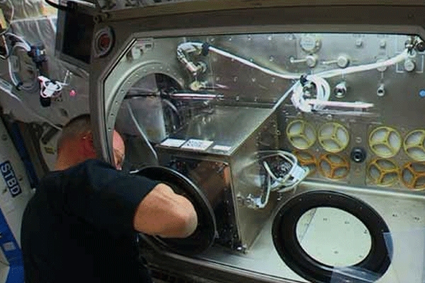 Nasa installs first zero gravity 3d printer on international space station