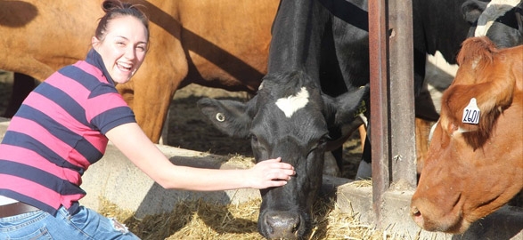 Young people interested in milk dairy