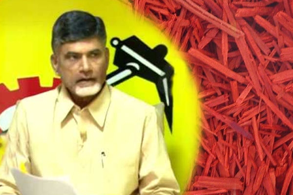 Tdp goverment planning to auctioned red sandalwood