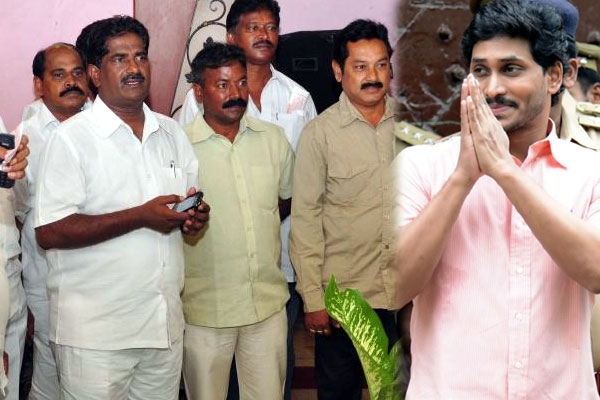 Ys jagan help to apngos