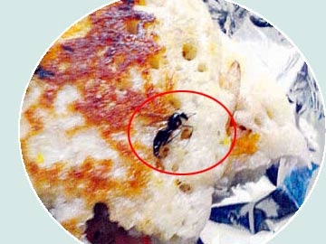 Cockroach dosa in nims hospital canteen