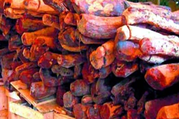 Andhra pradesh govt to sell red sanders seized from smugglers