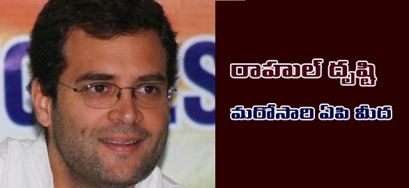 Rahul gandhi focuses again ap again