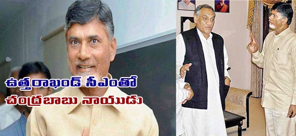 Telugu desam chandrababu naidu gets stranded pilgrims to hyderabad on special flight