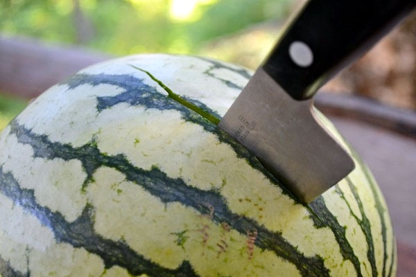 Man arrested after stabbing watermelon