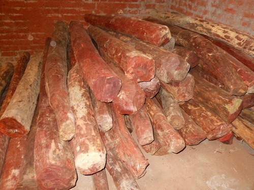 Tenders will be called for red sandalwood logs in state says ap minister bojjala gopalakrishna redd