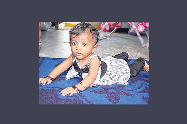 Gamecock hen attacked 8 months girl died
