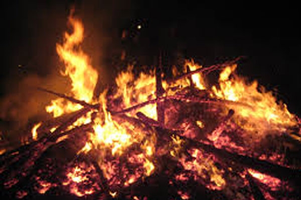 Girl brother charred to death in jaipur