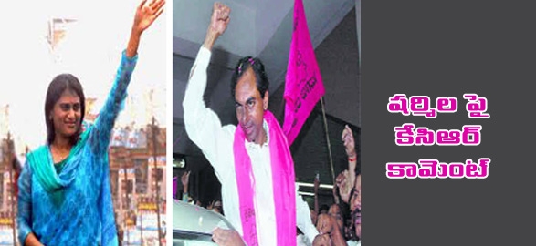 Telangana news trs mp kcr comment on ys sharmila