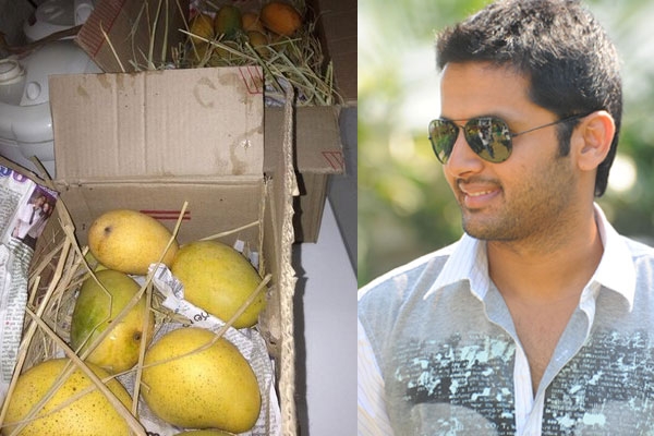 Pawan sent mangoes to nithiin