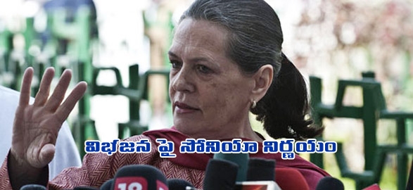 Sonia gandhi clarity on telangana issue