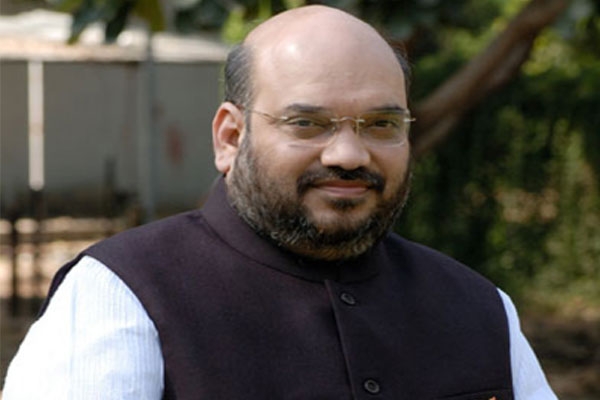 Amith shah appionted seven central ministers to seven states for bjp
