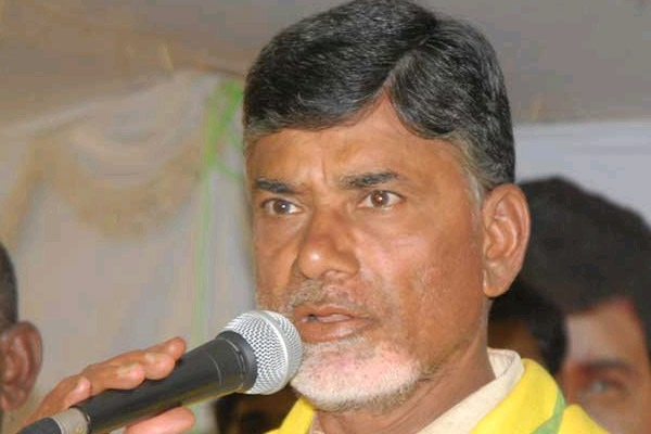 Chandrababu advice to pawan and kiran