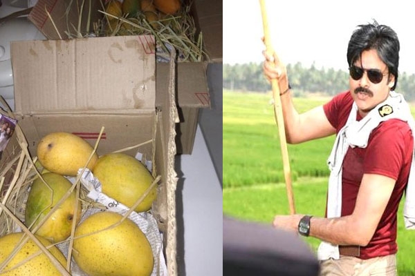 Pawan kalyan mangos treat samantha