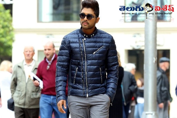 Son of satyamurthy movie business details