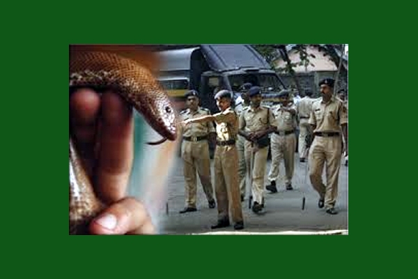 Another snake gang pretends like moral police and then rape caught in city outskirts