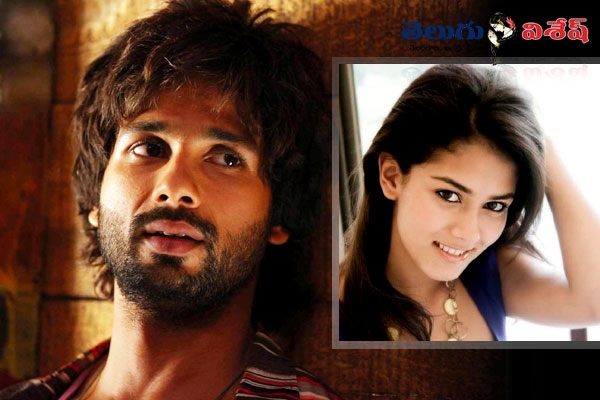 Mira rajput delhi college girl says she is not marrying with shahid kapoor