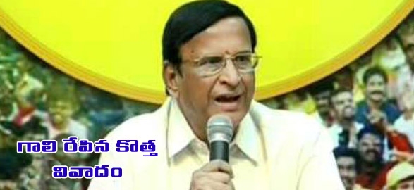 Political gali muddu krishnama naidu sensational comment on cm brothers