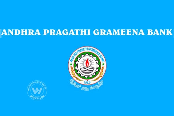 Andhra pragathi grameena bank office assistant posts government jobs notification