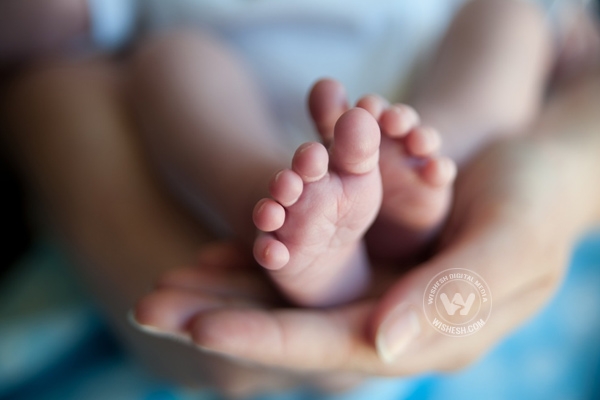 245 infants took birth on that day in odisha