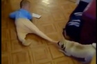 baby playing with dog funny videos